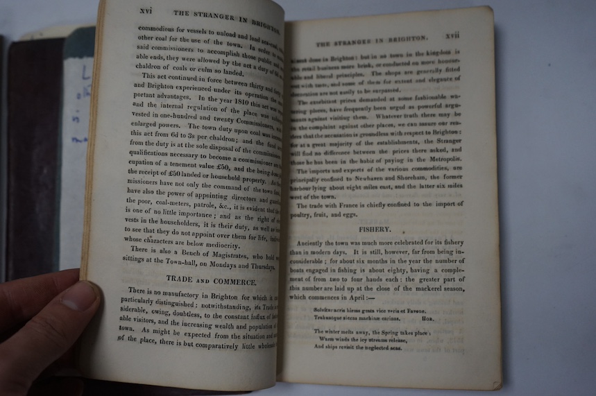 W.J.B. - Traces of Providence in A Tour From Brighton through the Isle of Wight, London, Thomas Bensley, 1808; Wright, C. The Brighton Ambulator, 1818; Baxter, J. The Stranger in Brighton and Baxter's New Brighton Direct